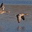 thumbs/IMG_2943.jpg